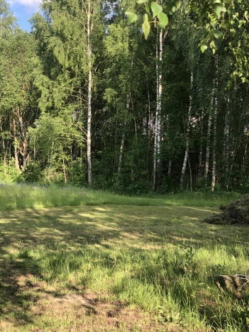 Купить земельный участок в Коврове. Вариант № 9951, 7, площадь -  квм, цена 550000 рублей