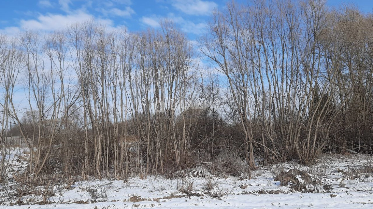 Photo https://36000382-a1c2-4a8a-a109-3fc3bfc73cf7.selcdn.net/App/Entity/ObjectRealty/ObjectRealty/LK/306f517c-751d-4f2d-896d-b0e148838489/CwKvUf4j75nE5vAV2maQmL35rn0qxpPoQNbyUdHf.jpg.compressed.webp