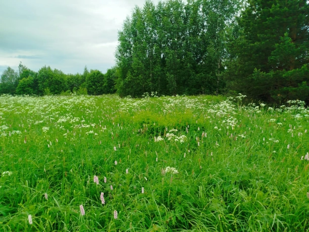 Купить земельный участок в Вологодской области. Вариант № 53369, 14, площадь -  квм, цена 2100000 рублей