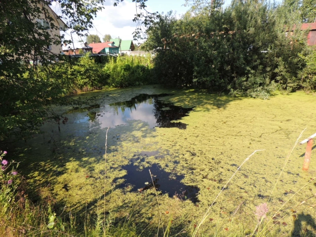 Купить земельный участок на улице Брусничная в Собинке. Вариант № 2670, 21, площадь -  квм, цена 1170000 рублей