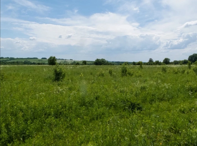 Купить земельный участок на улице Загородная в Ярославской области. Вариант № 15254, 9, площадь -  квм, цена 500000 рублей