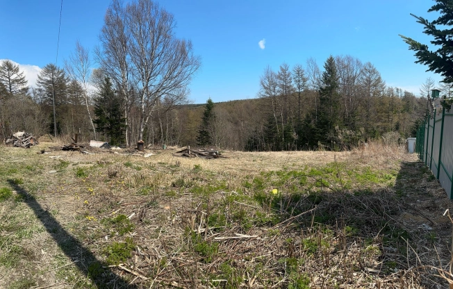 Купить земельный участок в Южно-Сахалинске. Вариант № 1658849, 2, площадь -  квм, цена 1000000 рублей