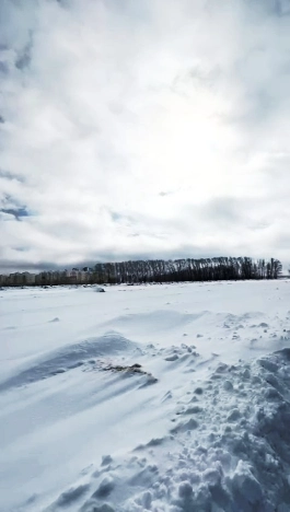 . Вариант № 28790, 0, площадь -  квм, цена 3550000 рублей