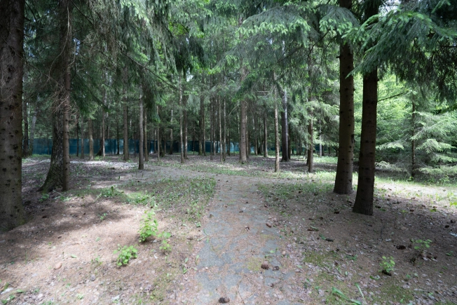 Купить дом в Долгопрудном. Вариант № 20974, 45, площадь -  квм, цена 55990000 рублей