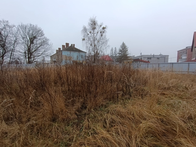 Купить земельный участок в Калининграде. Вариант № 22591, 5, площадь - квм, цена 10000000 рублей