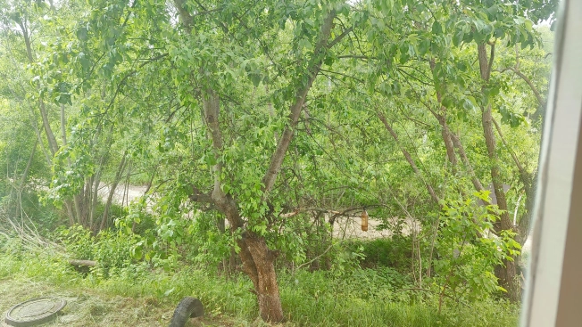 Купить квартиру в Судогде. Вариант № 48127, 15, площадь -  квм, цена 2850000 рублей