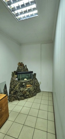 Снять коммерческую недвижимость в Южно-Сахалинске. Вариант № 9918992, 4, площадь -  квм, цена 167160 рублей