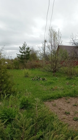 Купить дачу в Владимирской области. Вариант № 1588235, 12, площадь -  квм, цена 800000 рублей