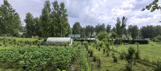 Купить земельный участок в Искитиме. Вариант № 19506, 34, площадь -  квм, цена 3430000 рублей