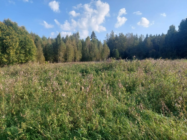 Купить земельный участок в Республике Карелия. Вариант № 2179416, 1, площадь -  квм, цена 5000000 рублей