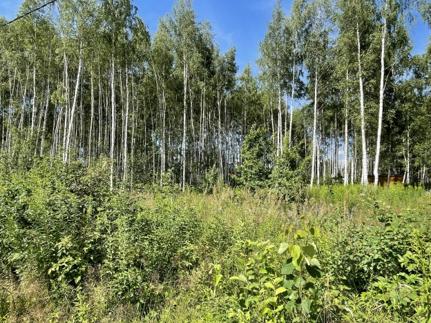 Купить земельный участок на улице 2-я Сорокинская в Владимире. Вариант № 7063, 0, площадь -  квм, цена 1350000 рублей