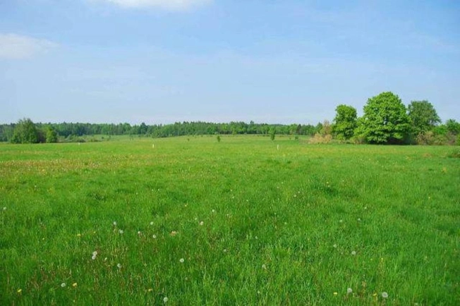 Купить земельный участок на улице Светлый переулок в Ленинградской области. Вариант № 27168, 3, площадь -  квм, цена 2450000 рублей