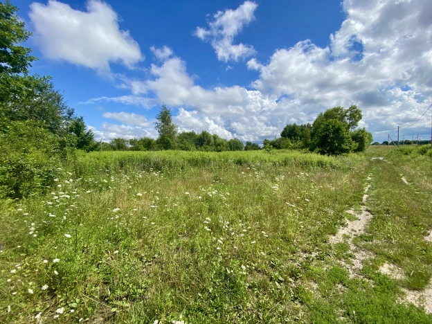 Купить земельный участок в Калининграде. Вариант № 1170760, 4, площадь -  квм, цена 1050000 рублей