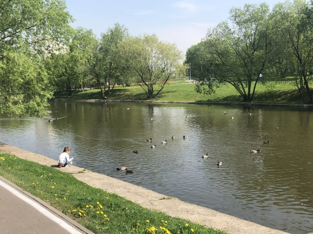 Купить трехкомнатную квартиру в ЮЗАО в Москве. Вариант № 24229, 30, площадь -  квм, цена 33000000 рублей