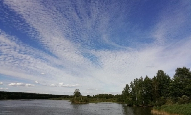 Купить дом на улице Старая Ляча в Ярославской области. Вариант № 16758, 22, площадь -  квм, цена 6700000 рублей