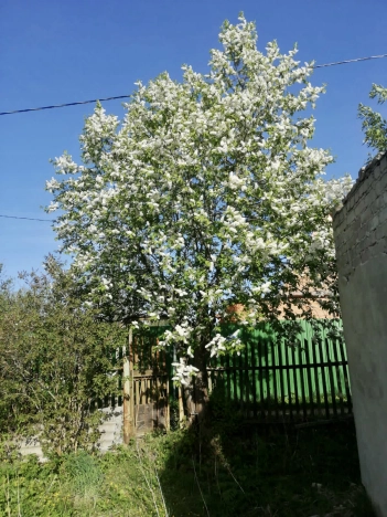 Купить земельный участок на улице Непокорённых Ленинградцев в Калуге. Вариант № 1891, 3, площадь -  квм, цена 365000 рублей