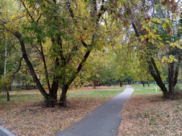 Купить квартиру в Москве. Вариант № 8938870, 3, площадь - квм, цена 11100000 рублей