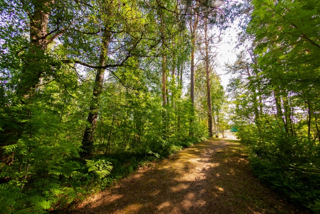 Купить земельный участок у метро Рыбацкое в Ленинградской области. Вариант № 2488, 19, площадь -  квм, цена 699000 рублей
