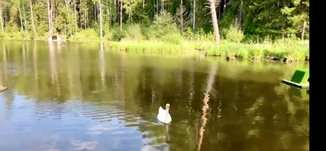 Купить земельный участок в Коврове. Вариант № 3113258, 14, площадь -  квм, цена 6200000 рублей