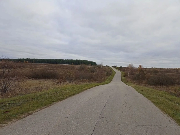 Купить земельный участок на улице 1 Мая в Нижегородской области. Вариант № 25539, 8, площадь -  квм, цена 650000 рублей