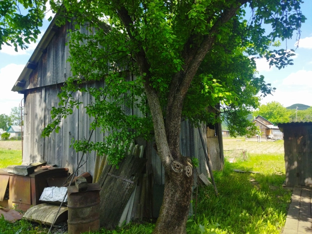Купить дом на улице Колхозная в Приморском крае. Вариант № 19880, 14, площадь -  квм, цена 1600000 рублей