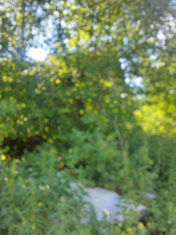 Купить земельный участок в Воронеже. Вариант № 30662, 1, площадь -  квм, цена 300000 рублей