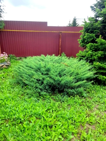 Купить дом в Кемерове. Вариант № 55216, 3, площадь -  квм, цена 9550000 рублей