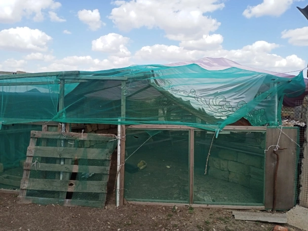 Купить дом в Элисте. Вариант № 2176042, 21, площадь -  квм, цена 5500000 рублей