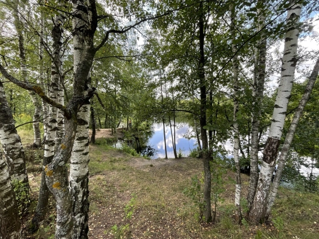 Купить земельный участок у метро Двигатель Революции в Нижнем Новгороде. Вариант № 2651425, 12, площадь - квм, цена 1600000 рублей