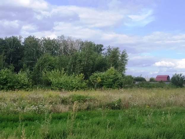 Купить земельный участок в Микрорайоне Московка-2 в Омске. Вариант № 10654, 0, площадь -  квм, цена 265000 рублей