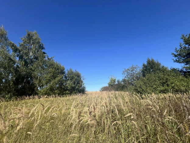 Купить земельный участок в Коломне. Вариант № 13258, 0, площадь -  квм, цена 320000 рублей