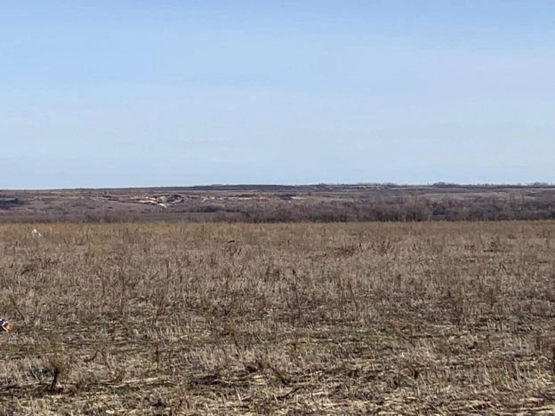 Купить земельный участок в Воронеже. Вариант № 33300, 2, площадь -  квм, цена 2200000 рублей