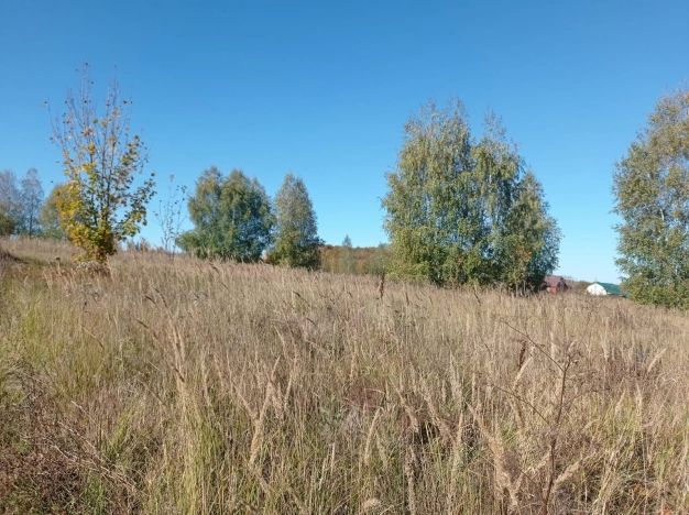 Купить земельный участок в Пензе. Вариант № 6258897, 3, площадь -  квм, цена 990000 рублей