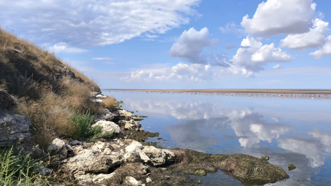 Купить земельный участок на улице Центральная в Республике Крым. Вариант № 3021916, 9, площадь -  квм, цена 170000000 рублей