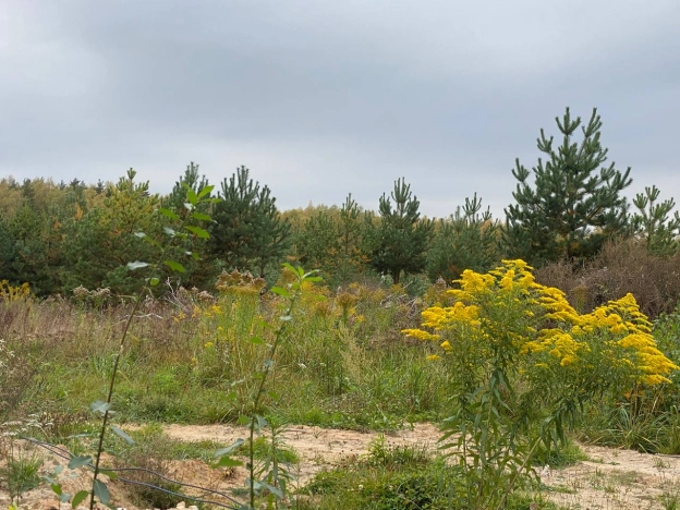 Купить земельный участок в Владимире. Вариант № 5514457, 0, площадь -  квм, цена 1875000 рублей