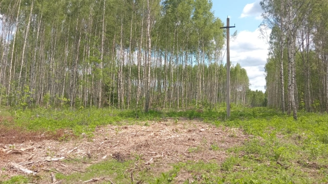 Купить земельный участок на улице 3-я Сорокинская в Владимире. Вариант № 48178, 3, площадь -  квм, цена 1100000 рублей