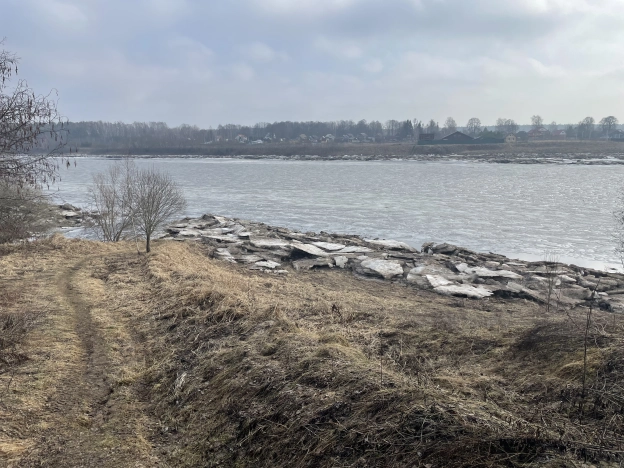 Купить земельный участок в Новгородской области. Вариант № 30069, 9, площадь -  квм, цена 250000 рублей