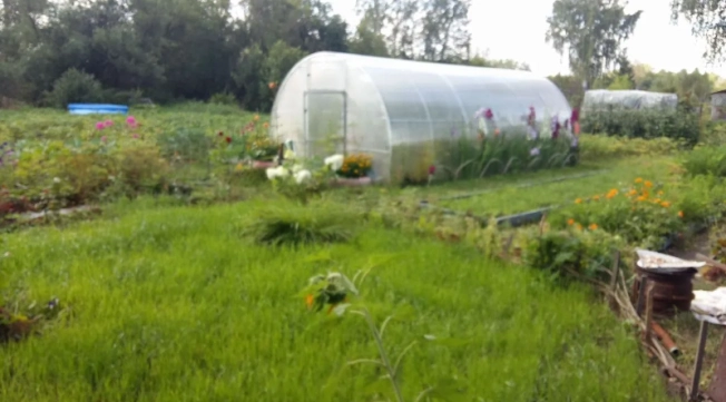 Купить дом в районе Калининский в Новосибирске. Вариант № 57828, 8, площадь -  квм, цена 2100000 рублей