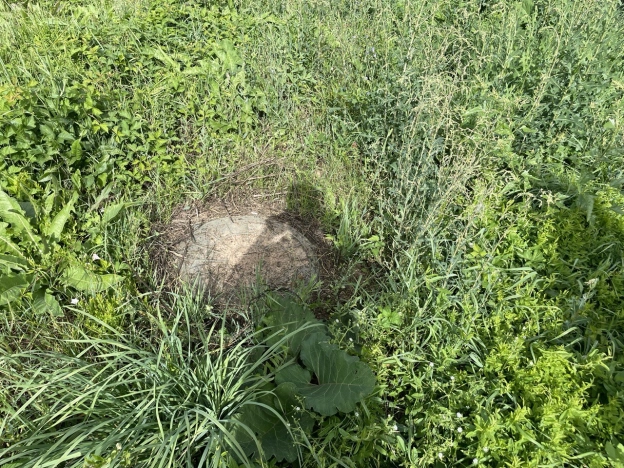 Купить дом на улице Ленина в Нижегородской области. Вариант № 1885563, 21, площадь -  квм, цена 7900000 рублей