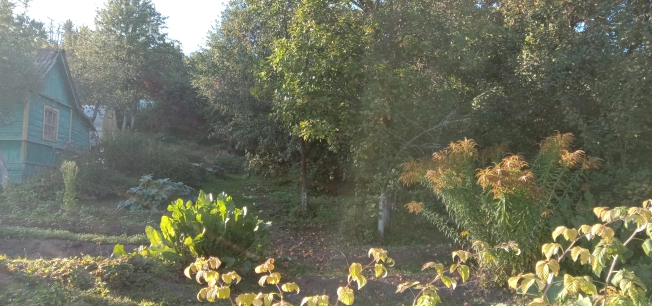 Купить дачу в Московской области. Вариант № 6628693, 20, площадь -  квм, цена 400000 рублей