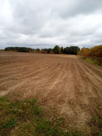 Купить земельный участок в Республике Карелия. Вариант № 20678, 0, площадь -  квм, цена 7500000 рублей