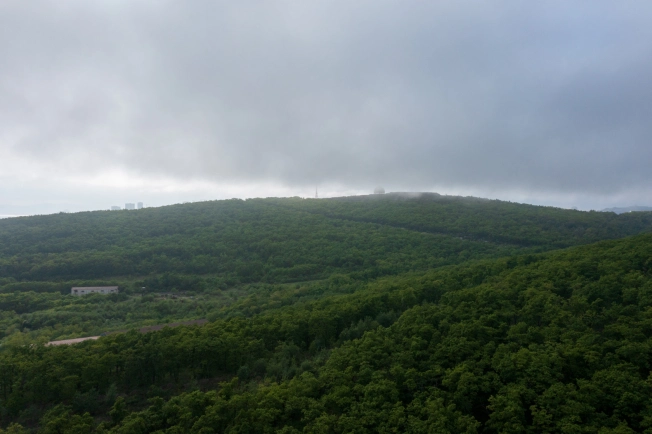 Купить двухкомнатную квартиру в Приморском крае. Вариант № 4137383, 2, площадь -  квм, цена 10592700 рублей