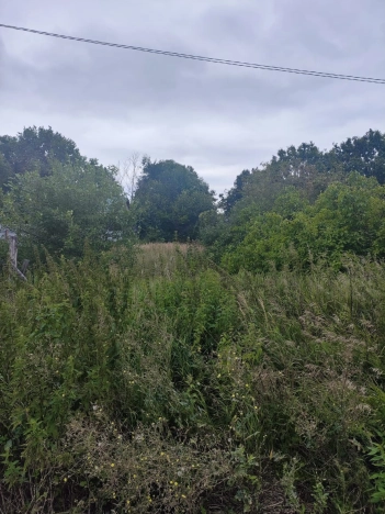 Купить земельный участок на улице Дружбы в Республике Татарстан (татарстан). Вариант № 11958, 5, площадь -  квм, цена 1000000 рублей