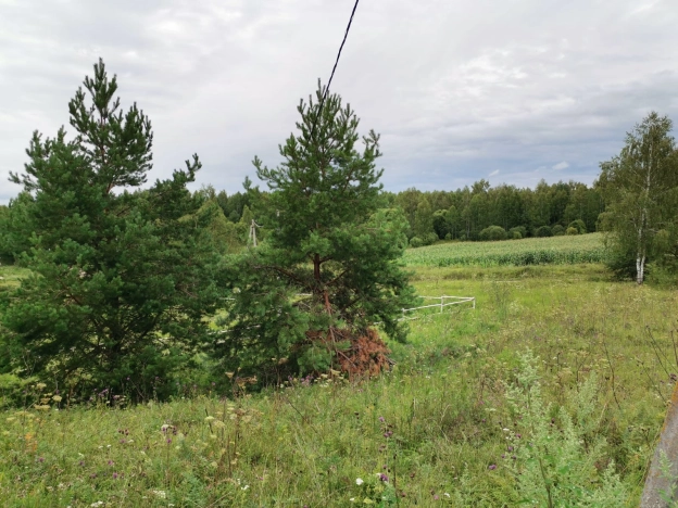 Купить дом в Калуге. Вариант № 2817, 31, площадь -  квм, цена 9300000 рублей