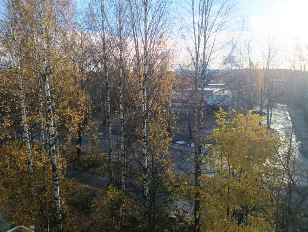 Купить однокомнатную квартиру в Республике Карелия. Вариант № 7964760, 3, площадь -  квм, цена 1399000 рублей