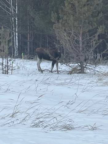 Купить земельный участок на улице Солнечная в Республике Татарстан (татарстан). Вариант № 32075, 20, площадь -  квм, цена 14420000 рублей