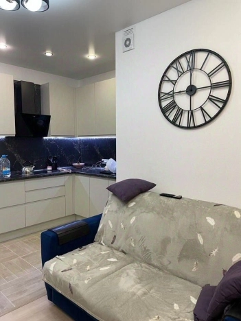 Купить однокомнатную квартиру в Ленинградской области. Вариант № 8002365, 1, площадь -  квм, цена 9000000 рублей