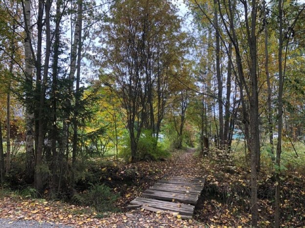 Купить земельный участок в Петрозаводске. Вариант № 6680351, 1, площадь -  квм, цена 600000 рублей