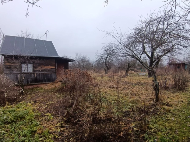 Купить дачу в Владимирской области. Вариант № 10205452, 10, площадь -  квм, цена 1200000 рублей