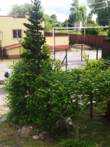 Купить дом в Краснознаменске. Вариант № 19984, 2, площадь -  квм, цена 10000000 рублей